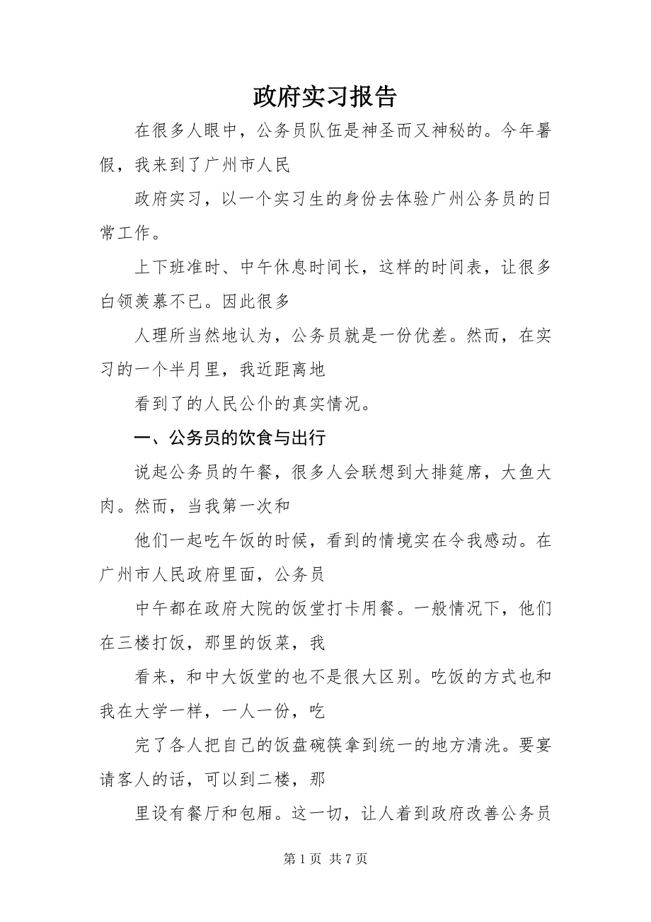 2023年政府实习报告.docx_第1页