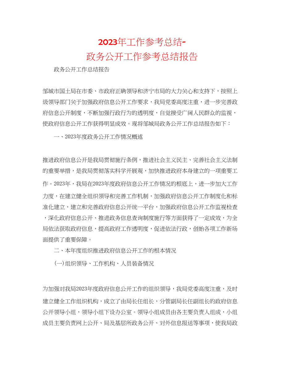 2023年工作总结政务公开工作总结报告.docx_第1页