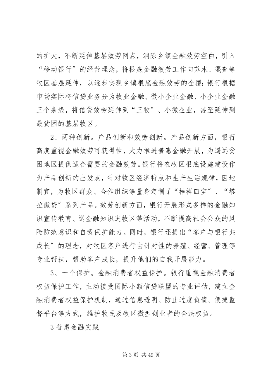 2023年普惠金融专题报告.docx_第3页