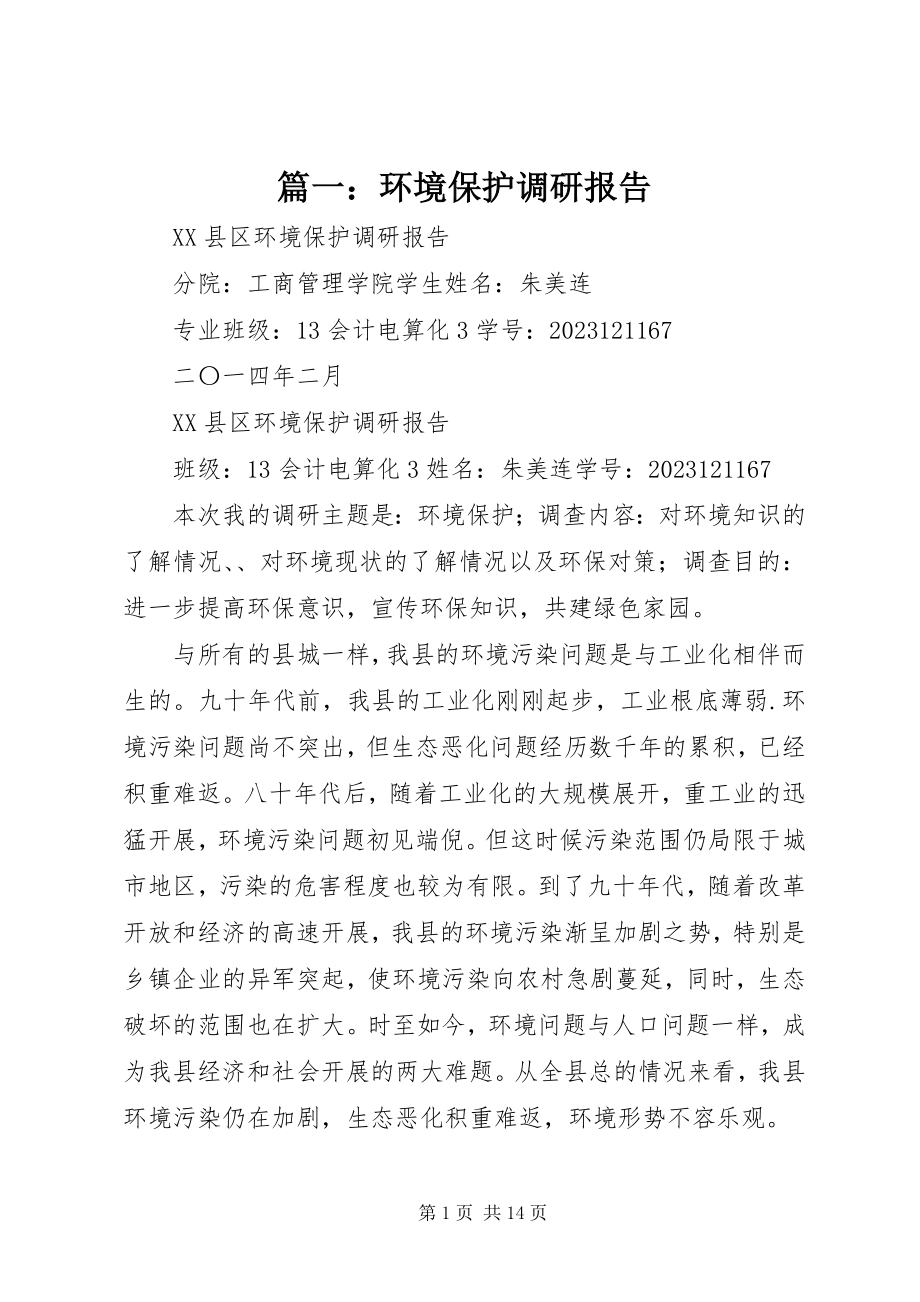 2023年环境保护调研报告.docx_第1页