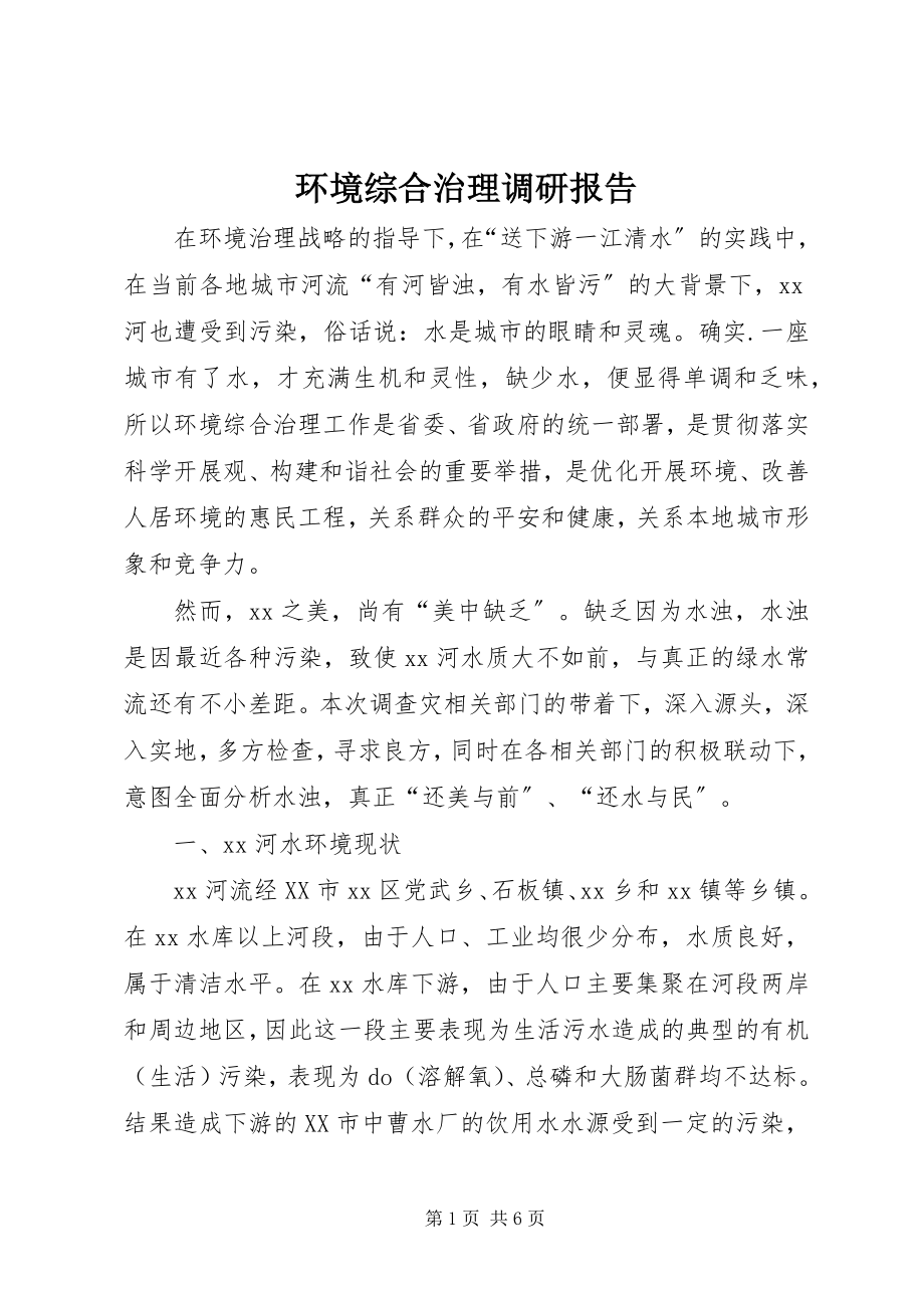 2023年环境综合治理调研报告.docx_第1页