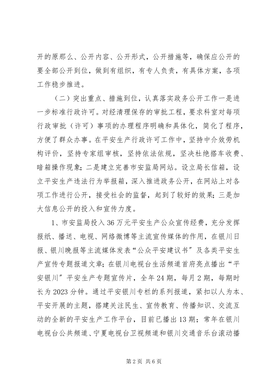 2023年安监局年度党务政务公开工作自查报告新编.docx_第2页