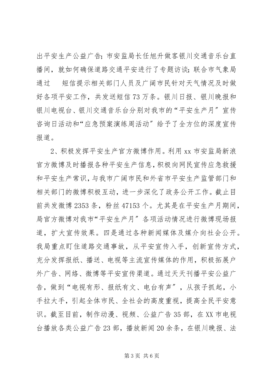 2023年安监局年度党务政务公开工作自查报告新编.docx_第3页