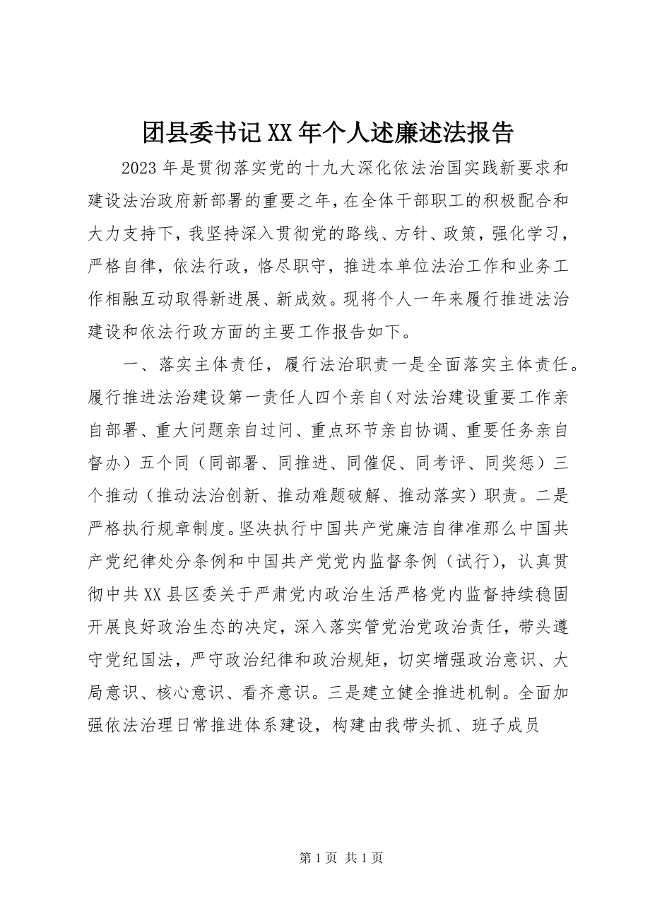 2023年团县委书记个人述廉述法报告.docx_第1页