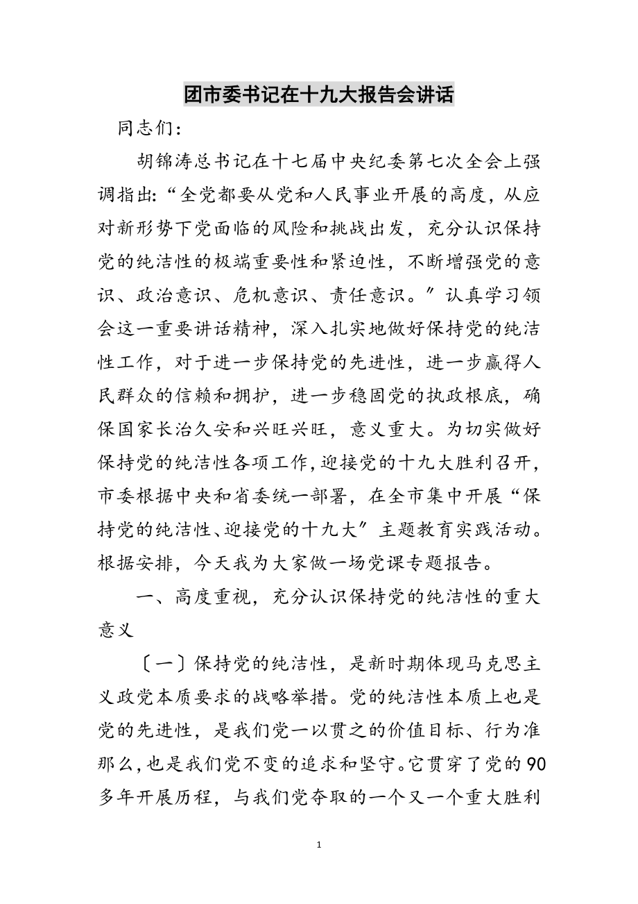 2023年团市委书记在十九大报告会讲话范文.doc_第1页