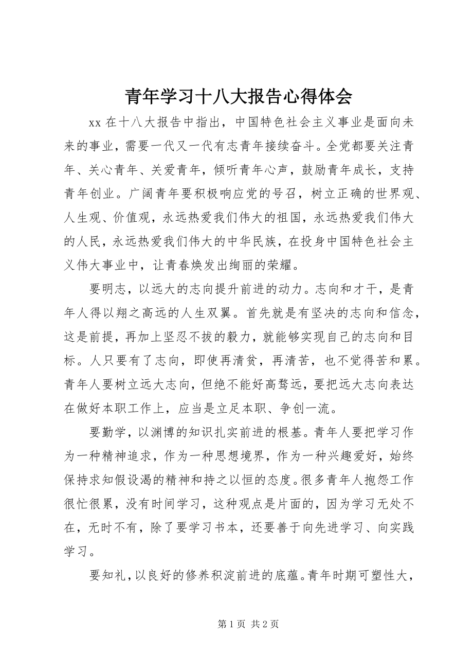 2023年青年学习十八大报告心得体会.docx_第1页