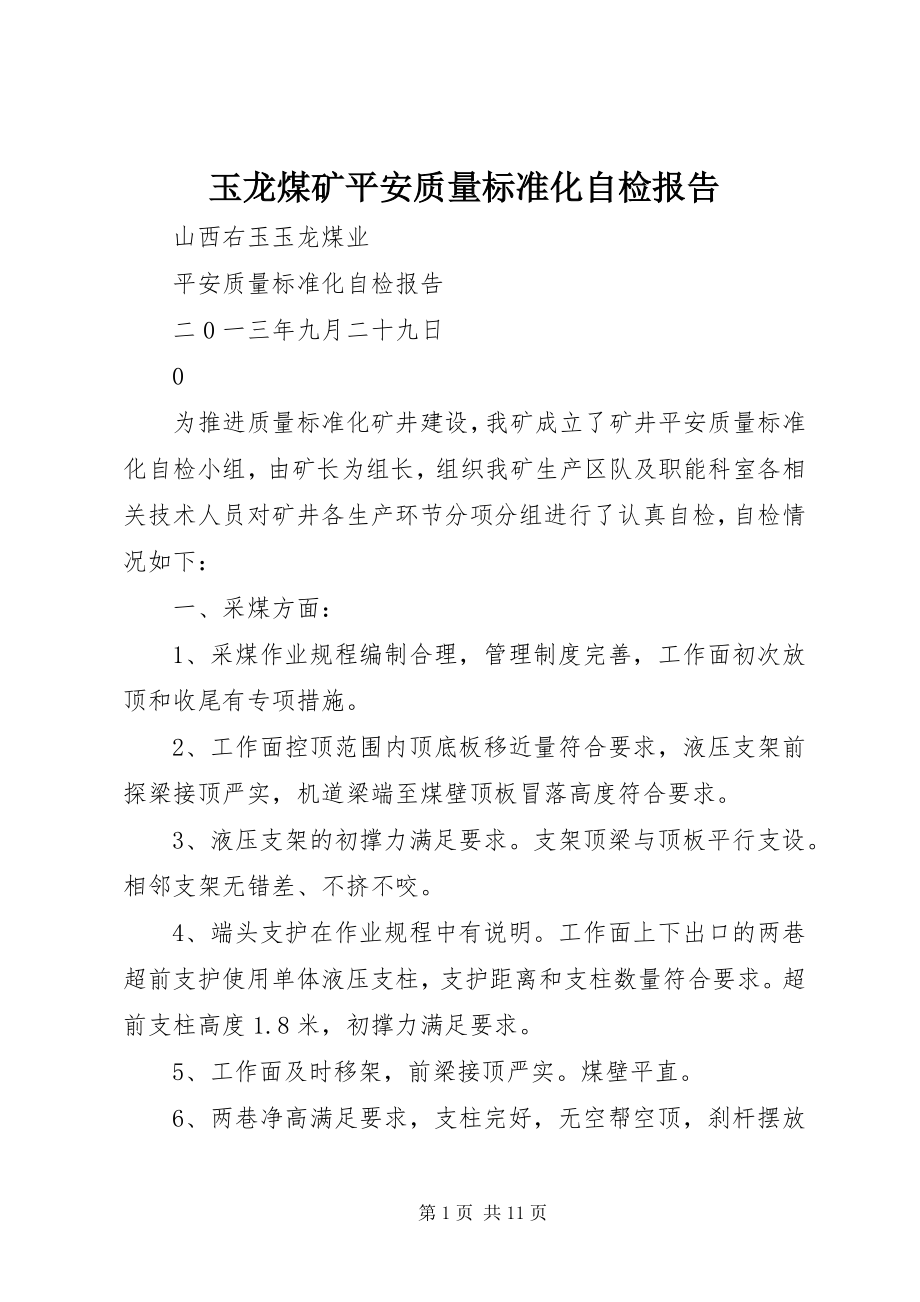 2023年玉龙煤矿安全质量标准化自检报告.docx_第1页