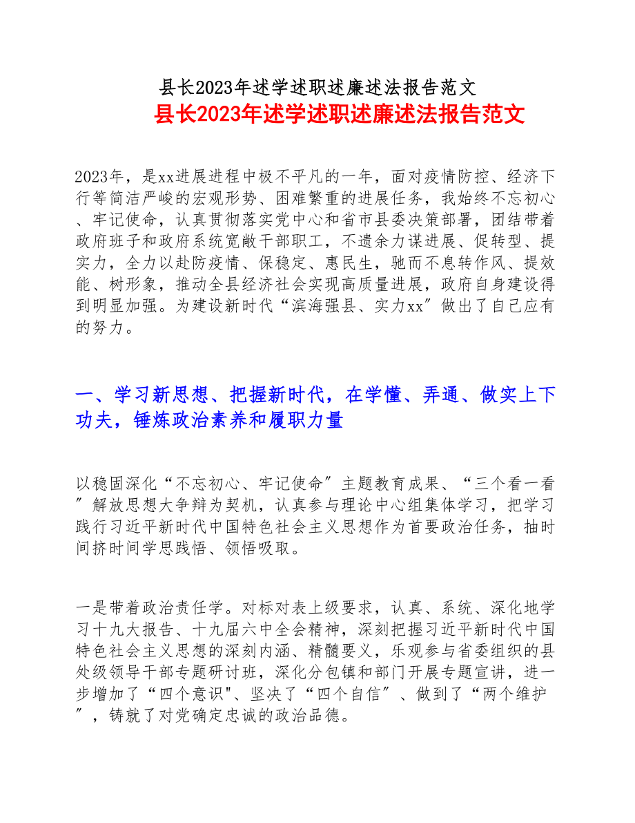 2023年县长20xx年述学述职述廉述法报告.docx_第1页