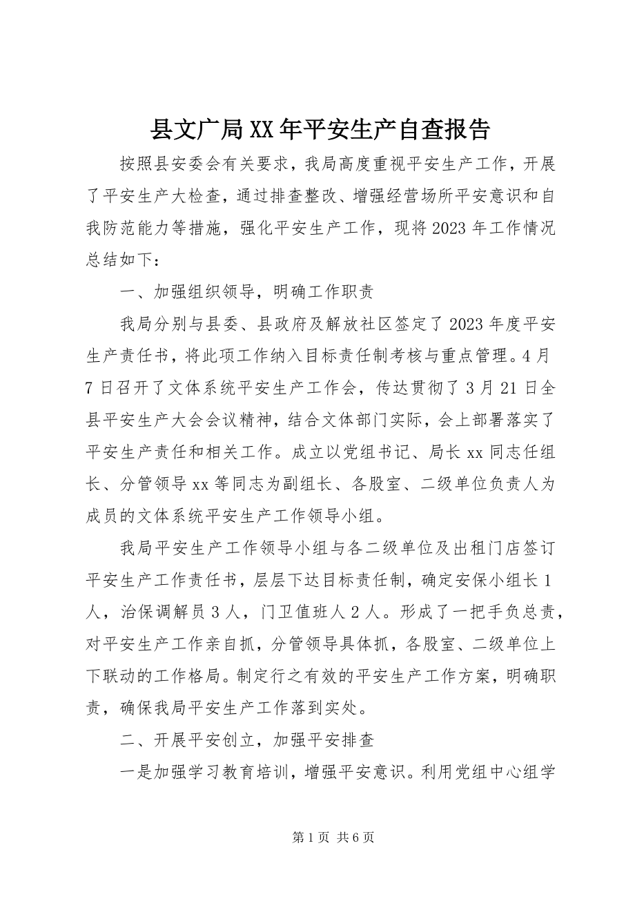 2023年县文广局安全生产自查报告.docx_第1页