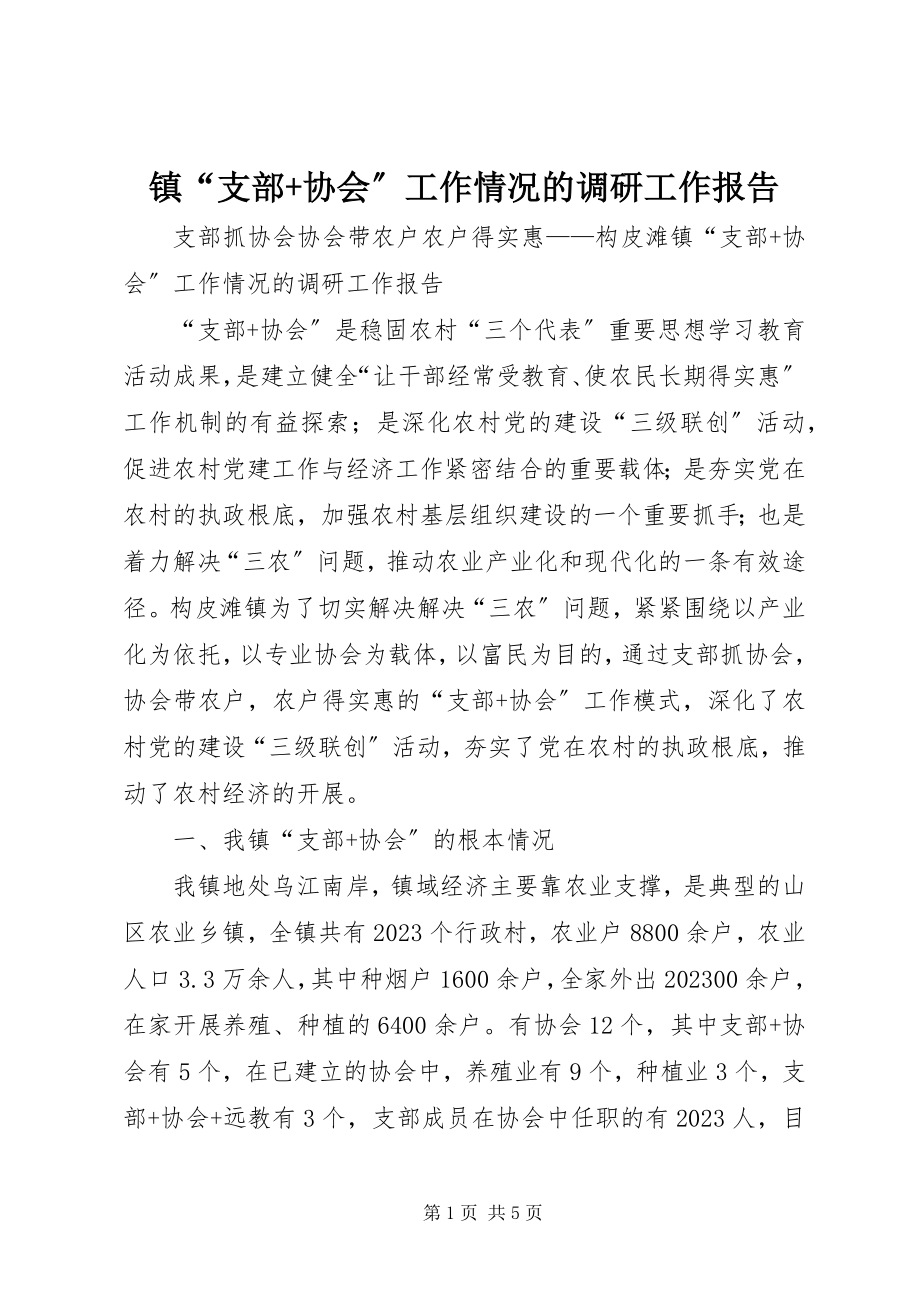 2023年镇“支部协会”工作情况的调研工作报告.docx_第1页