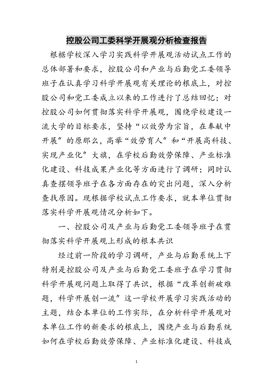 2023年控股公司工委科学发展观分析检查报告范文.doc_第1页