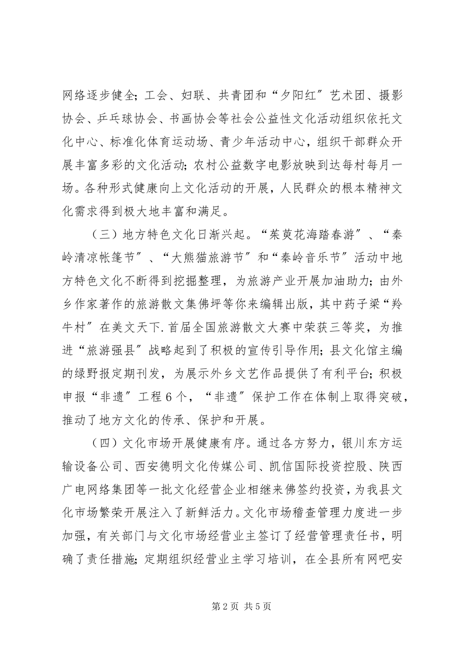 2023年文化建设情况视察报告.docx_第2页