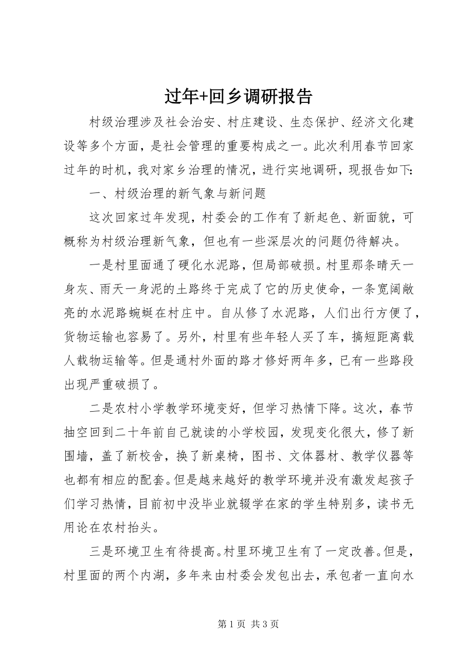 2023年过回乡调研报告.docx_第1页