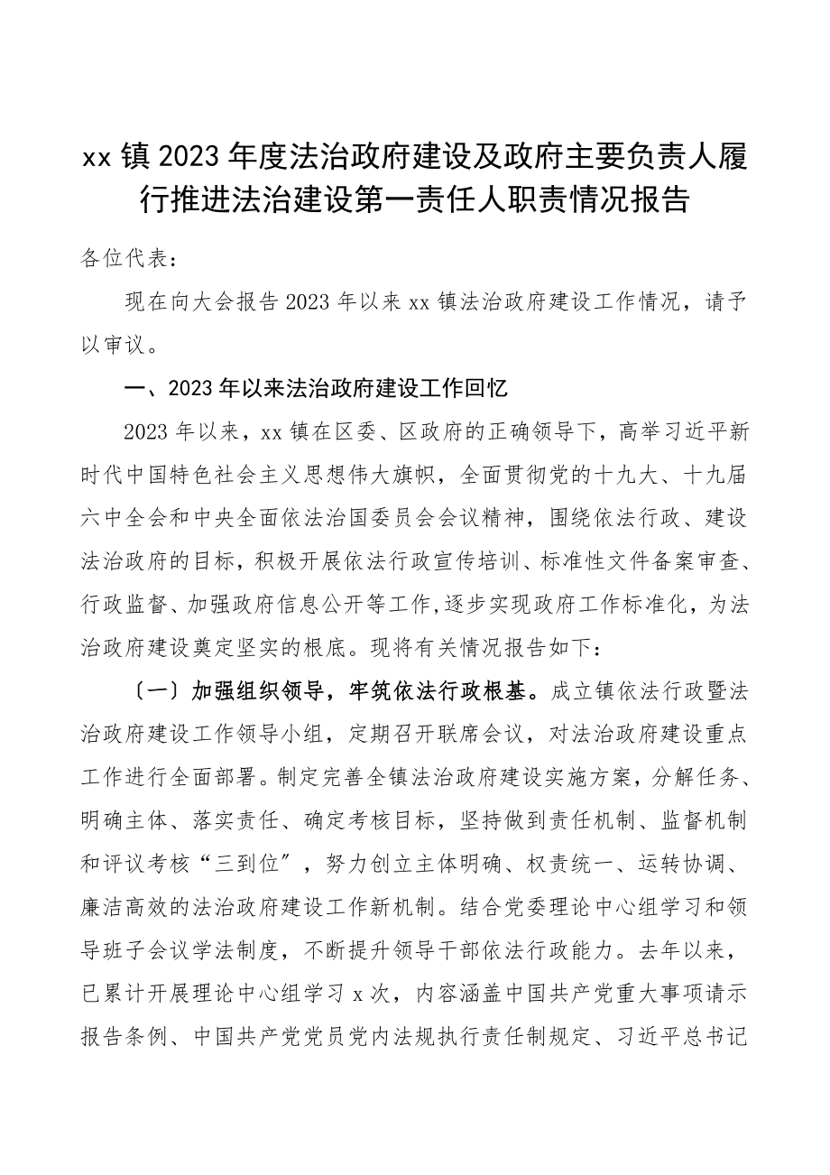 2023年度法治政府建设及政府主要负责人履行推进法治建设第一责任人职责情况报告工作总结汇报报告范文.doc_第1页