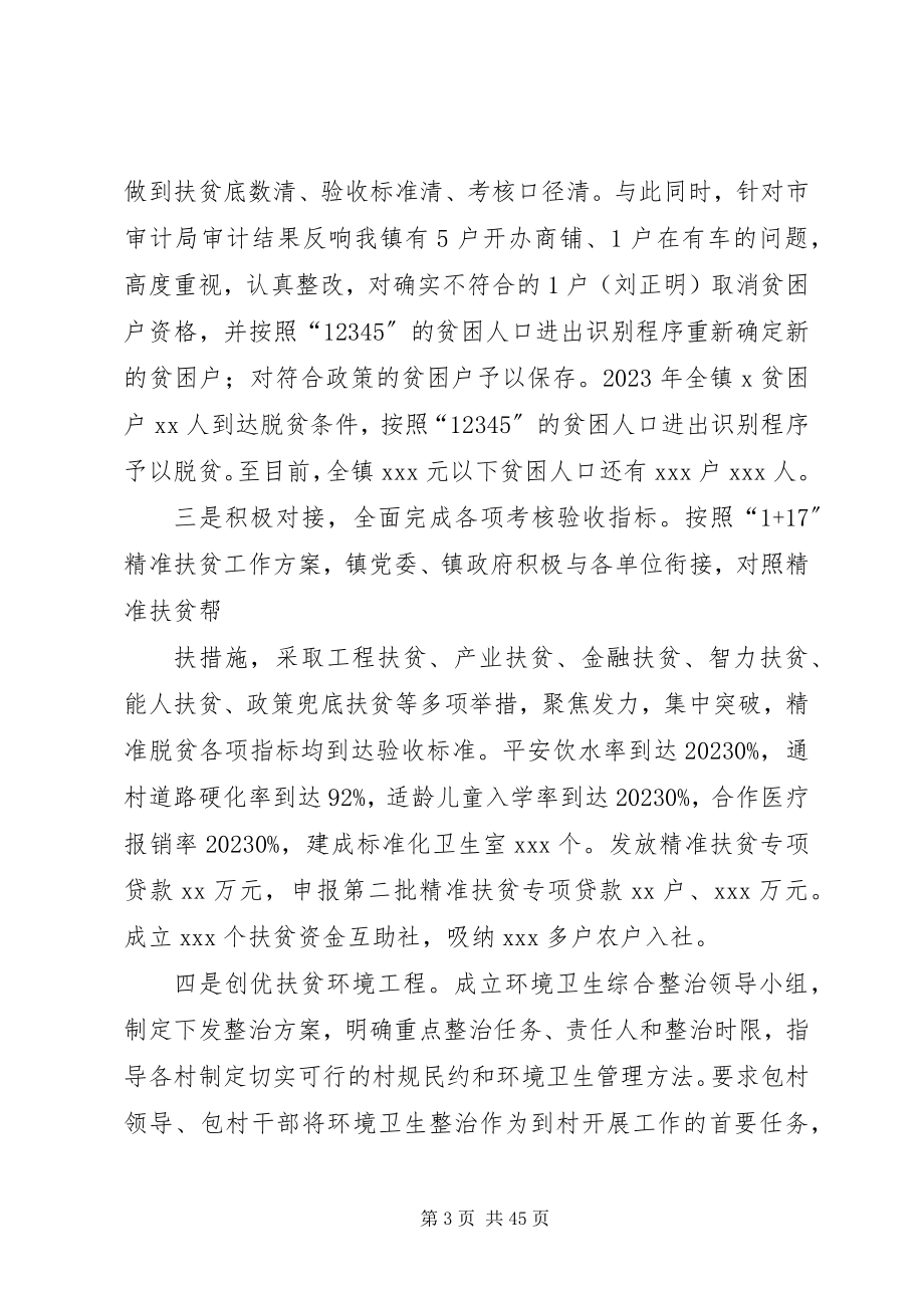 2023年脱贫攻坚专项督查报告.docx_第3页