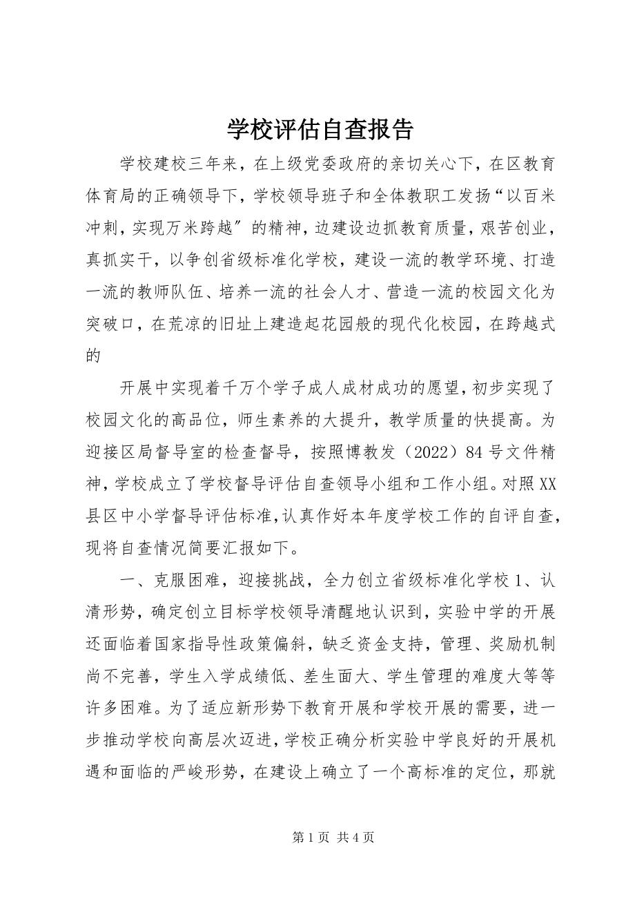 2023年学校评估自查报告.docx_第1页