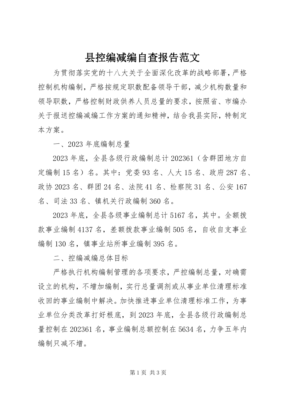 2023年县控编减编自查报告2.docx_第1页