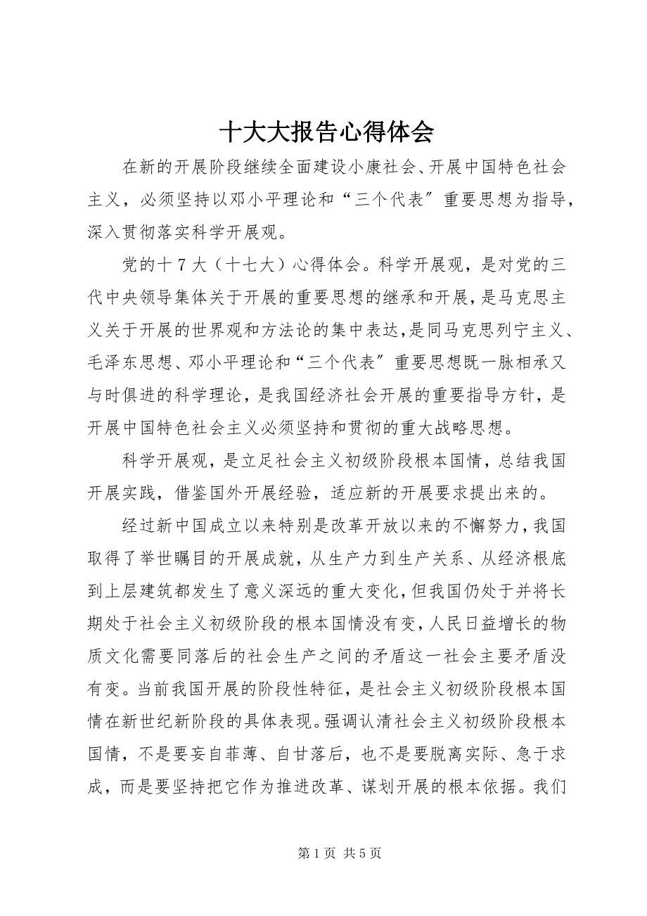 2023年十大大报告心得体会.docx_第1页