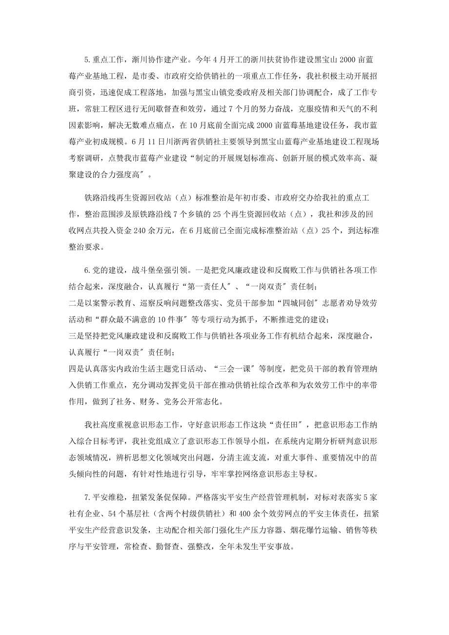 2023年市供销合作社联合社“十三五”期间及工作总结和“十四五”期间工作思路及工作重点报告.docx_第3页