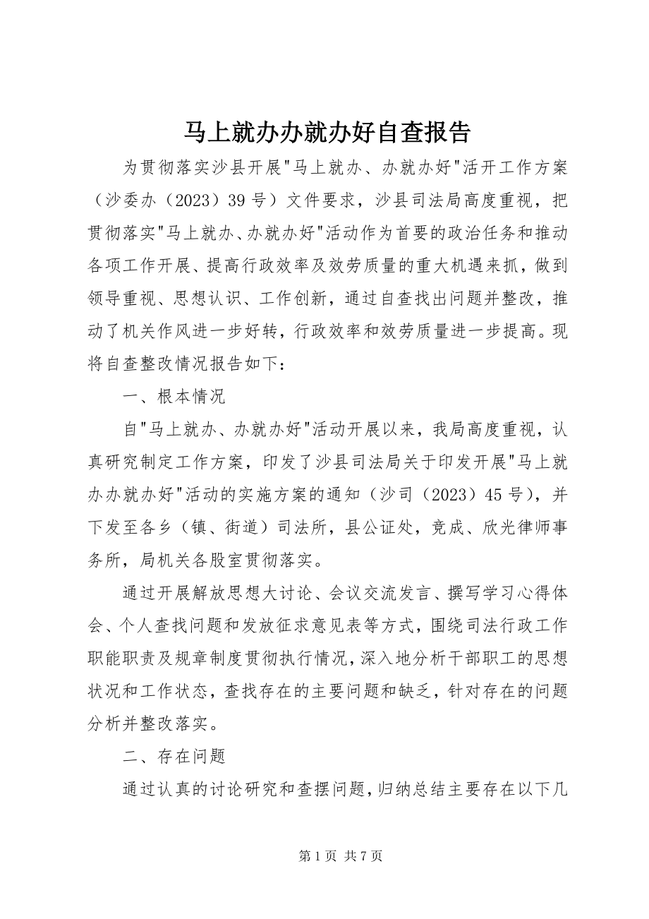 2023年马上就办办就办好自查报告.docx_第1页