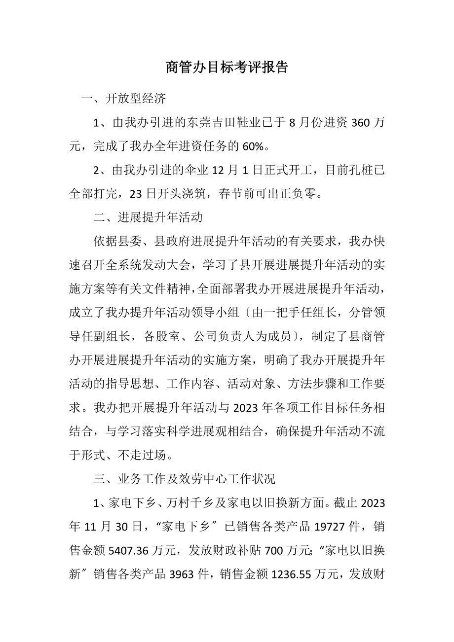 2023年商管办目标考评报告.docx_第1页