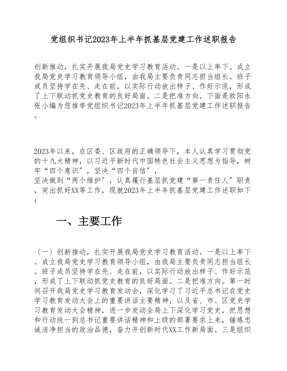 党组织书记2023年上半年抓基层党建工作述职报告.doc_第1页