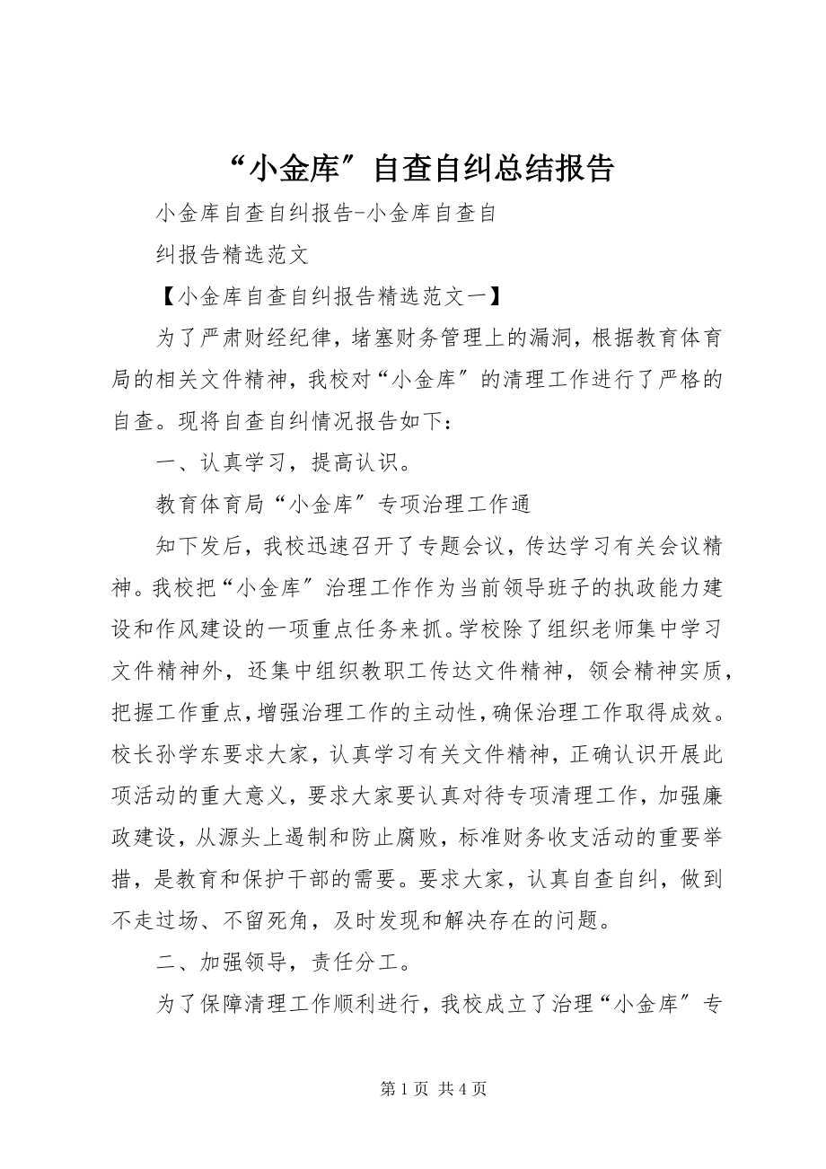 2023年小金库自查自纠总结报告.docx_第1页