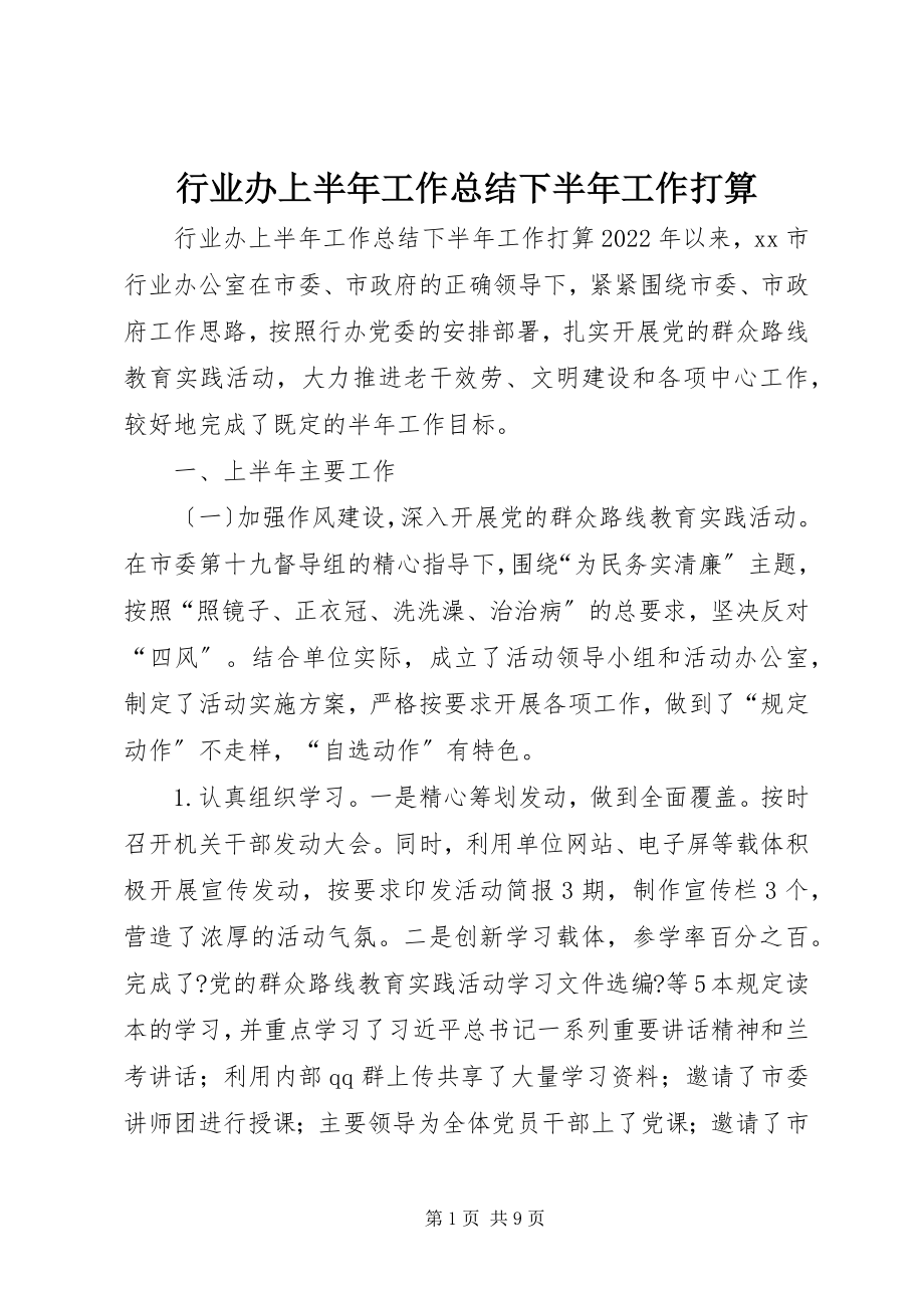 2023年行业办上半年工作总结下半工作打算.docx_第1页