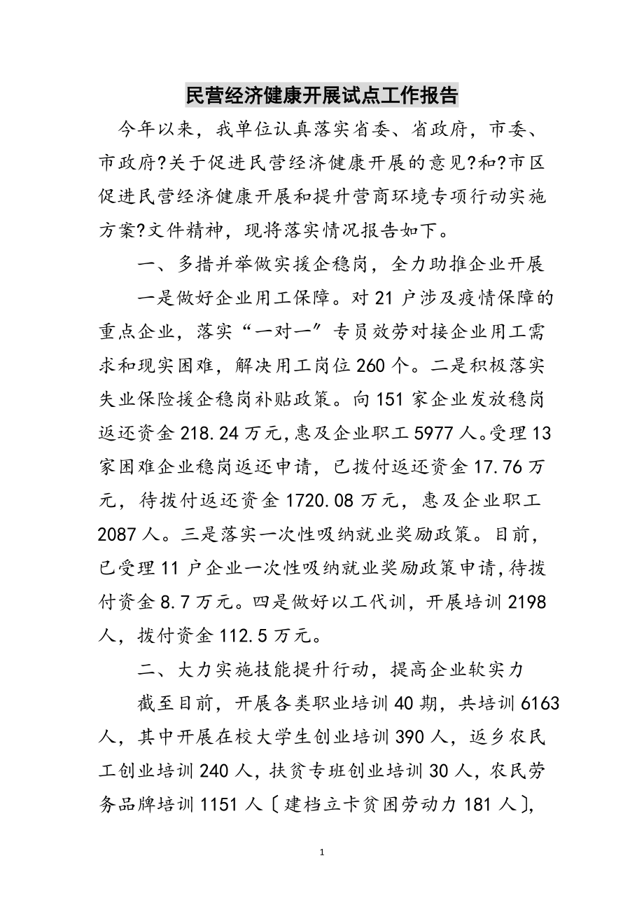 2023年民营经济健康发展试点工作报告范文.doc_第1页