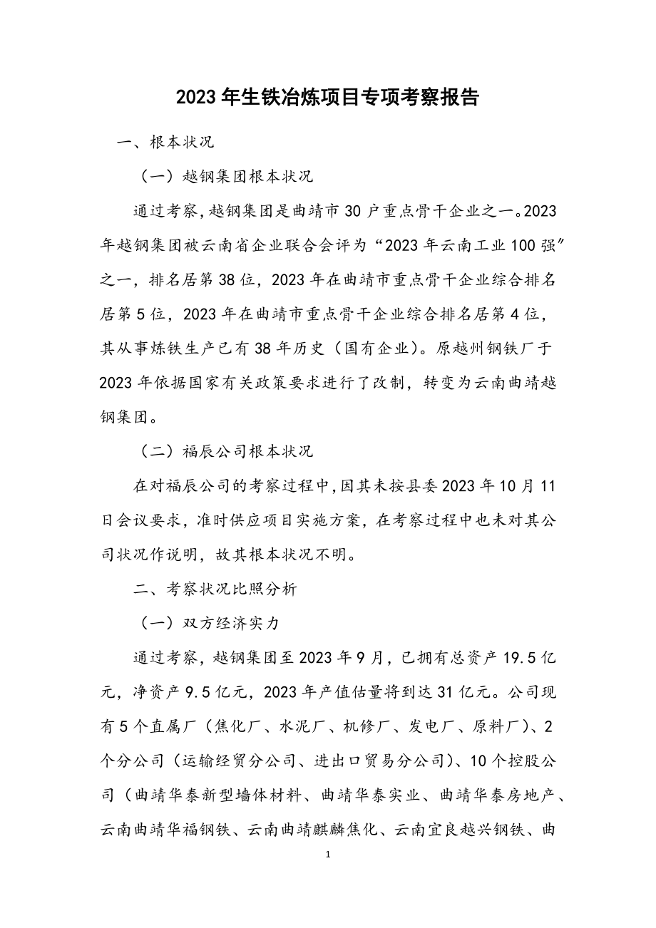 2023年生铁冶炼项目专项考察报告.docx_第1页