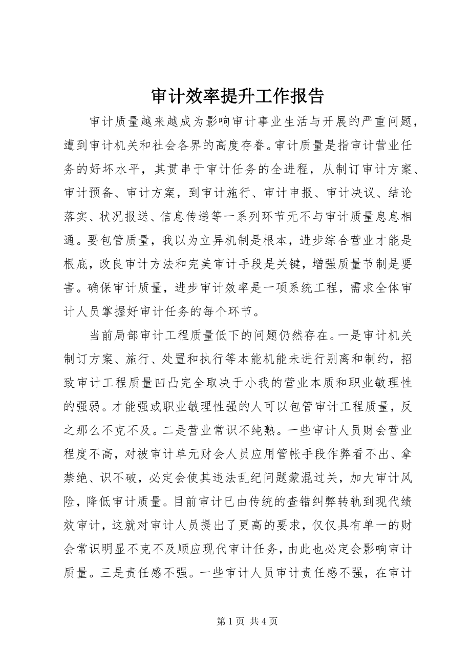 2023年审计效率提升工作报告.docx_第1页