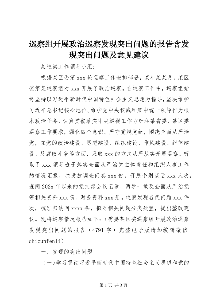 2023年巡察组开展政治巡察发现突出问题的报告含发现突出问题及意见建议.docx_第1页