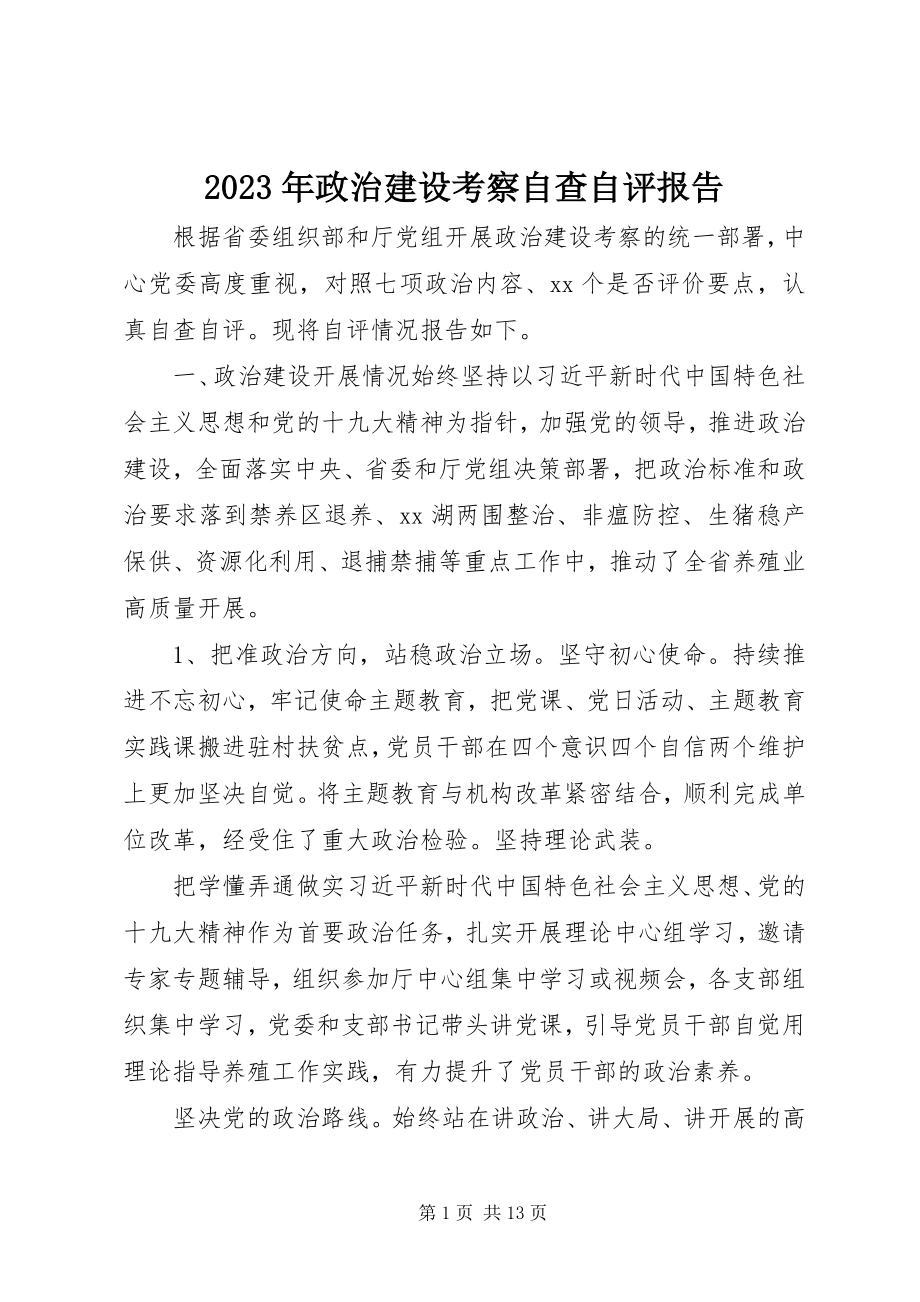 2023年政治建设考察自查自评报告.docx_第1页