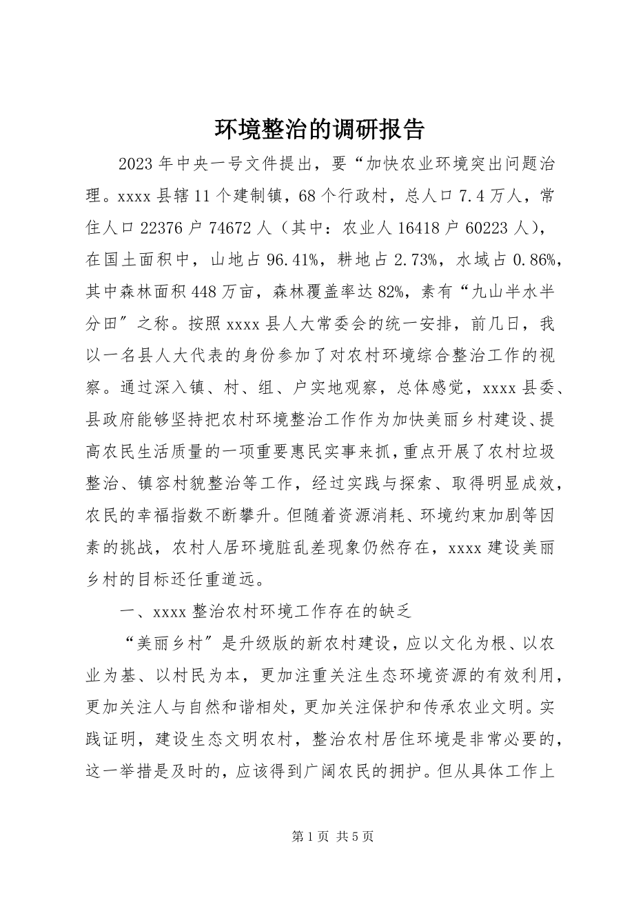 2023年环境整治的调研报告.docx_第1页