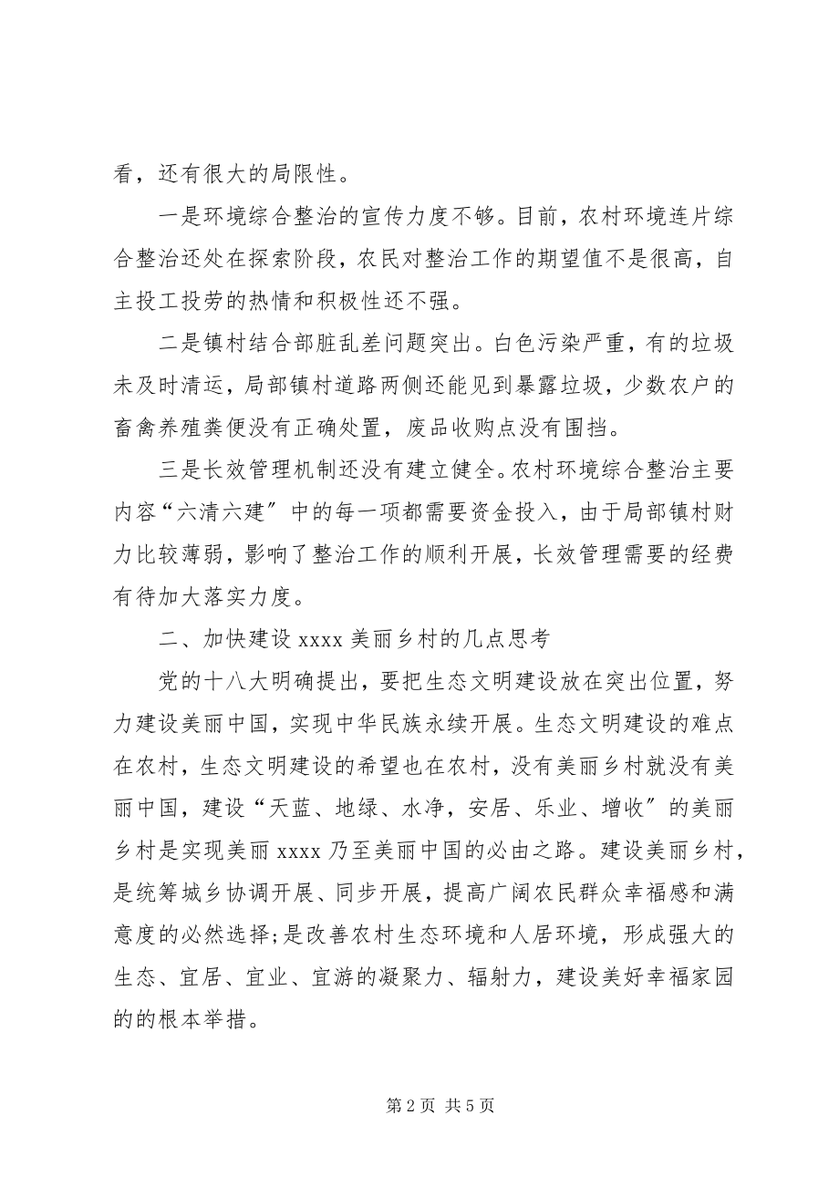 2023年环境整治的调研报告.docx_第2页