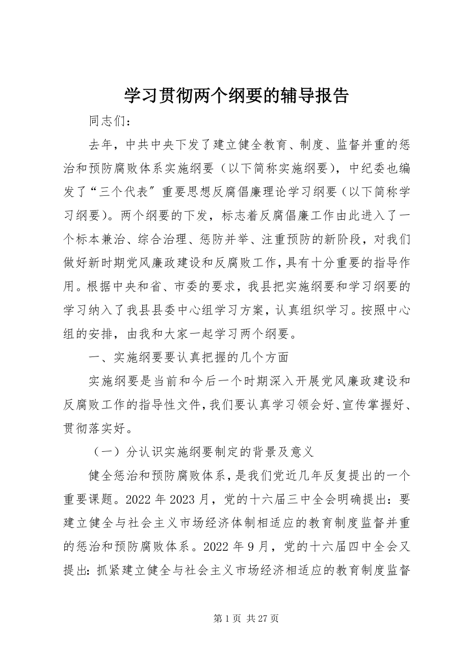 2023年学习贯彻两个纲要的辅导报告.docx_第1页