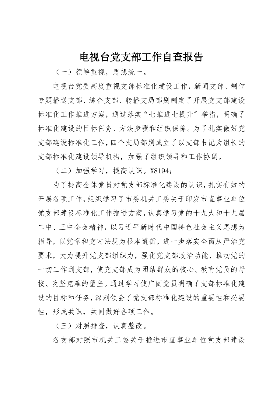 2023年电视台党支部工作自查报告新编.docx_第1页