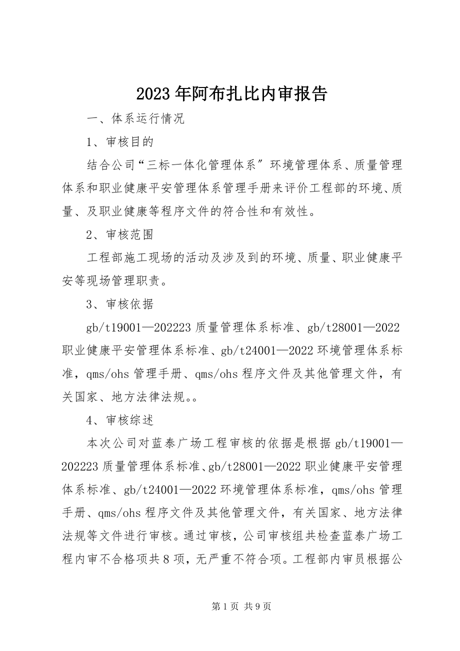 2023年阿布扎比内审报告.docx_第1页