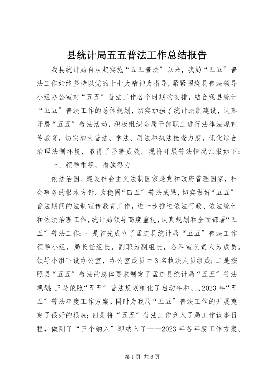 2023年县统计局五五普法工作总结报告.docx_第1页