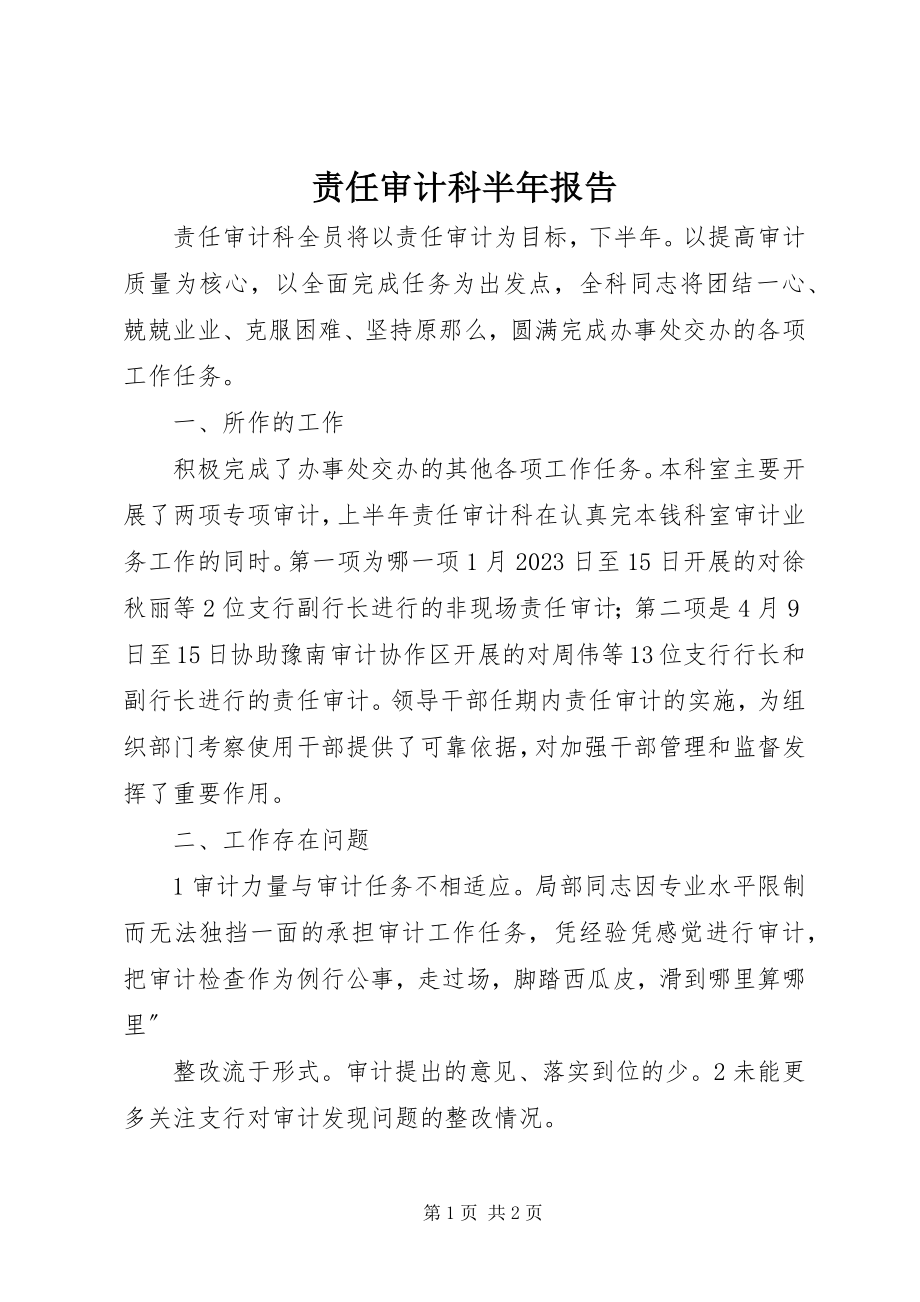 2023年责任审计科半年报告.docx_第1页