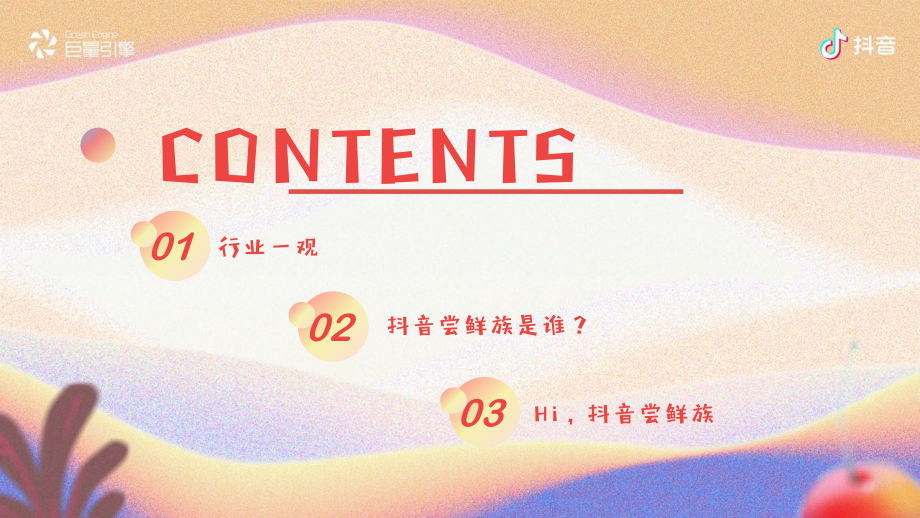 “鲜”声夺人—抖音尝鲜族人群报告-巨量引擎-202007.pdf_第3页