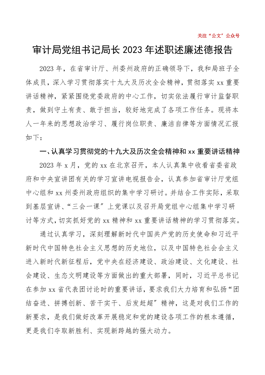 审计局党组书记2023年述职述廉述德报告范文个人工作总结.doc_第1页