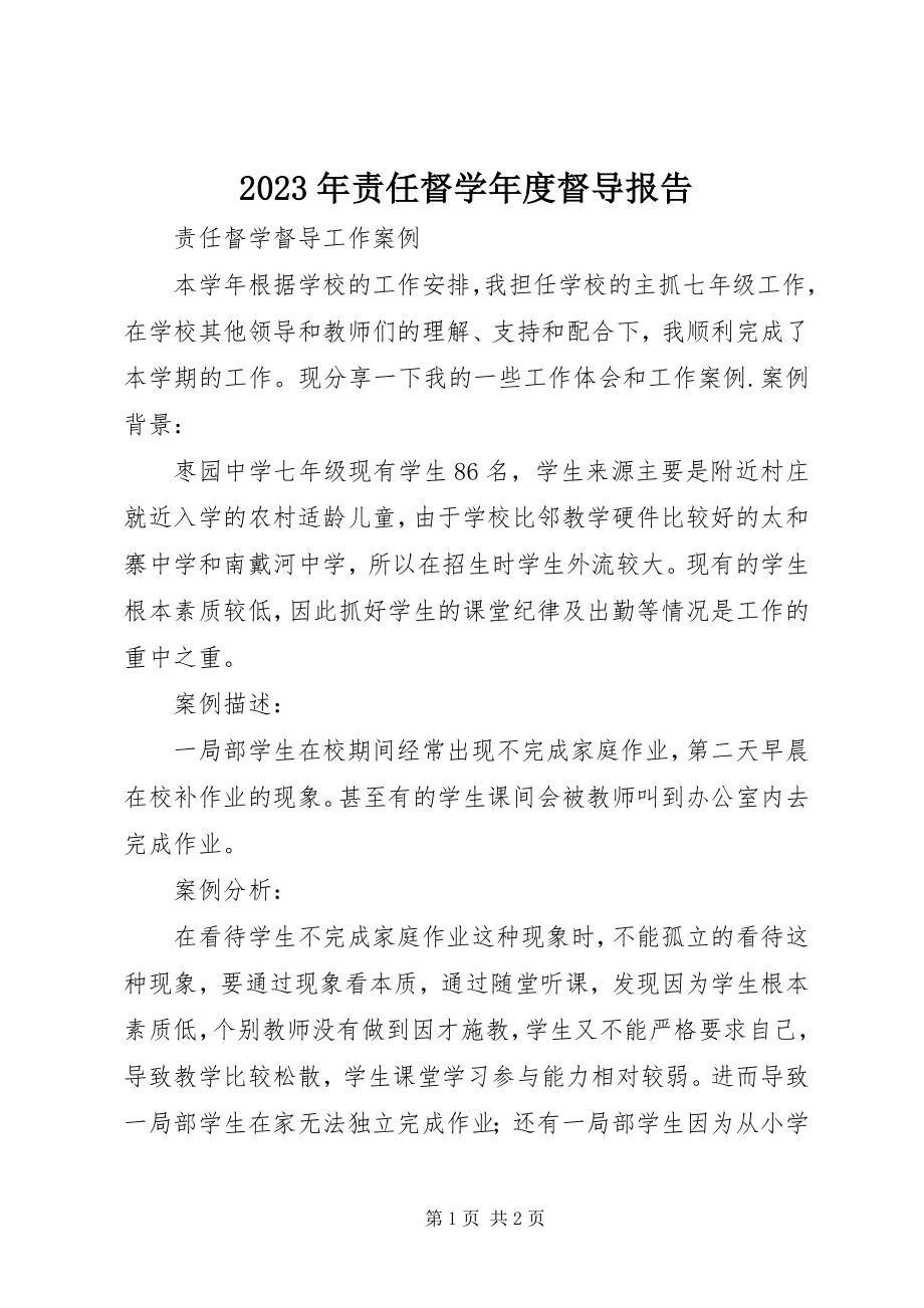 2023年责任督度督导报告.docx_第1页