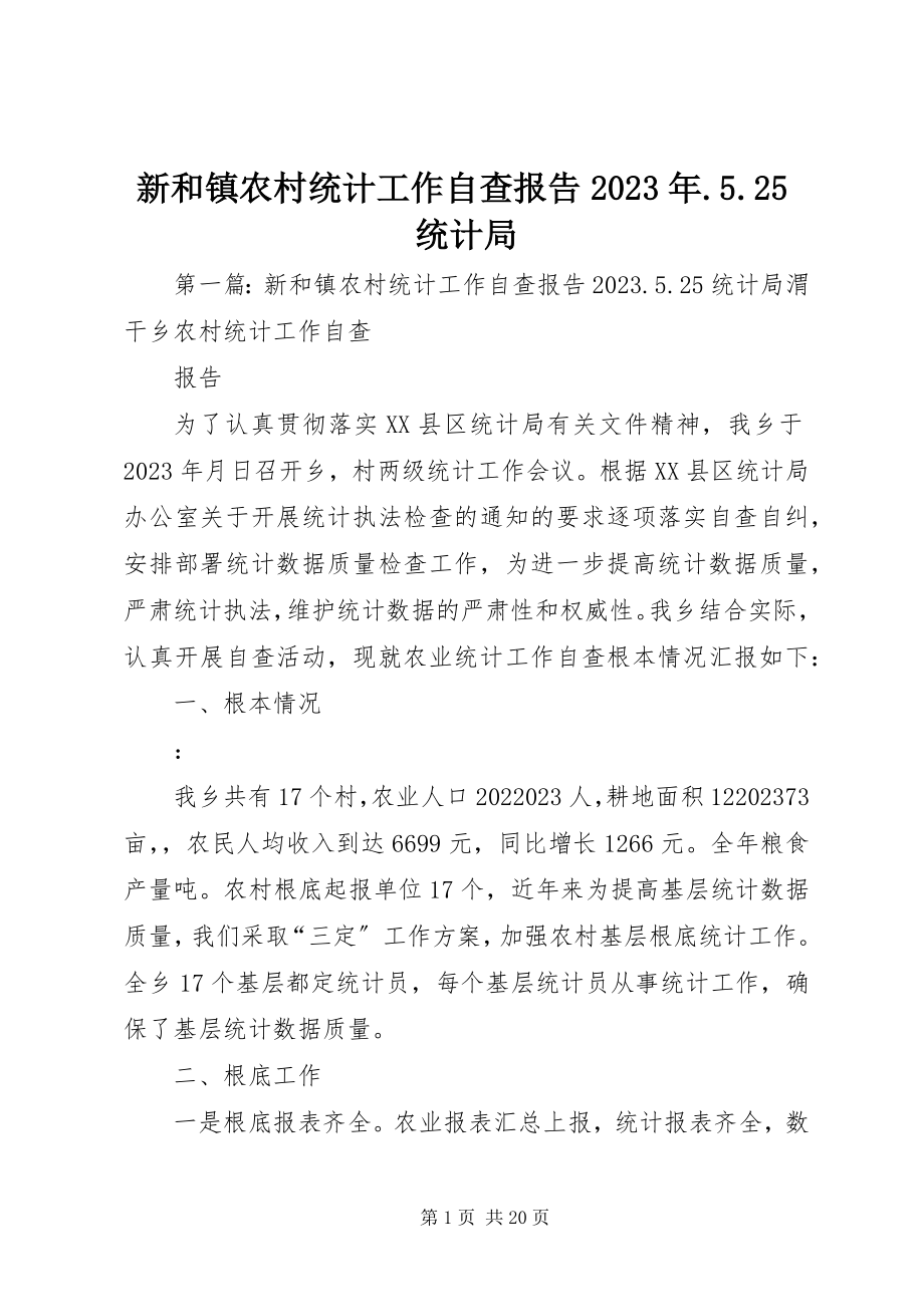 2023年新和镇农村统计工作自查报告525统计局.docx_第1页