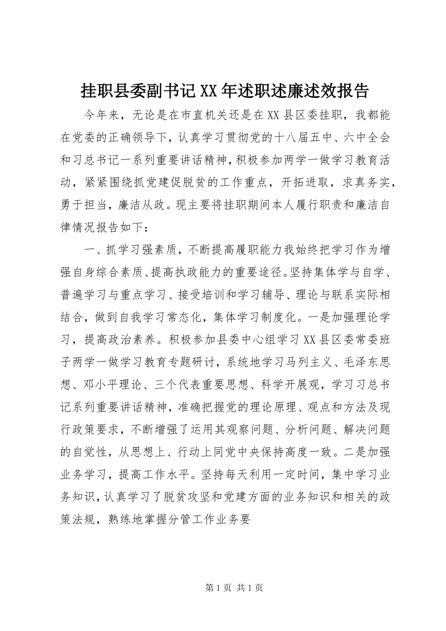 2023年挂职县委副书记某年述职述廉述效报告.docx_第1页