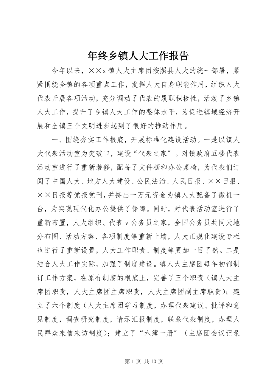 2023年终乡镇人大工作报告.docx_第1页