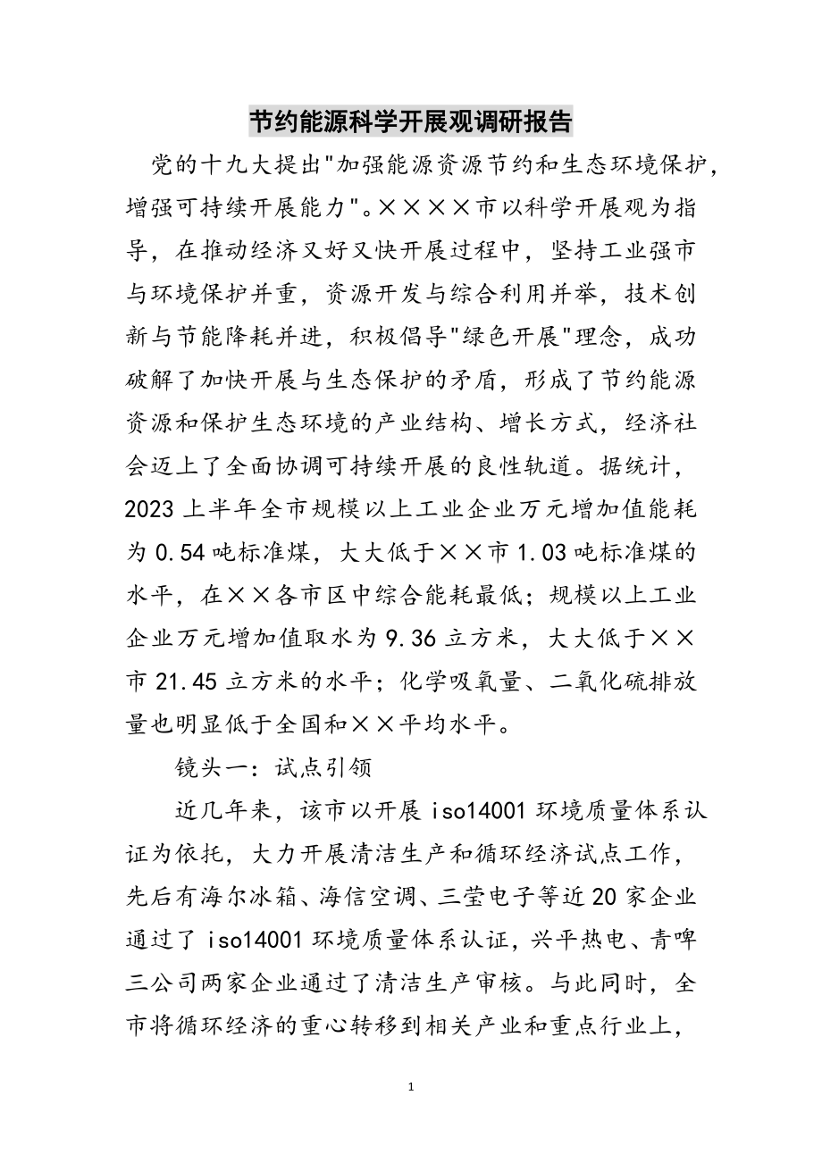 2023年节约能源科学发展观调研报告范文.doc_第1页