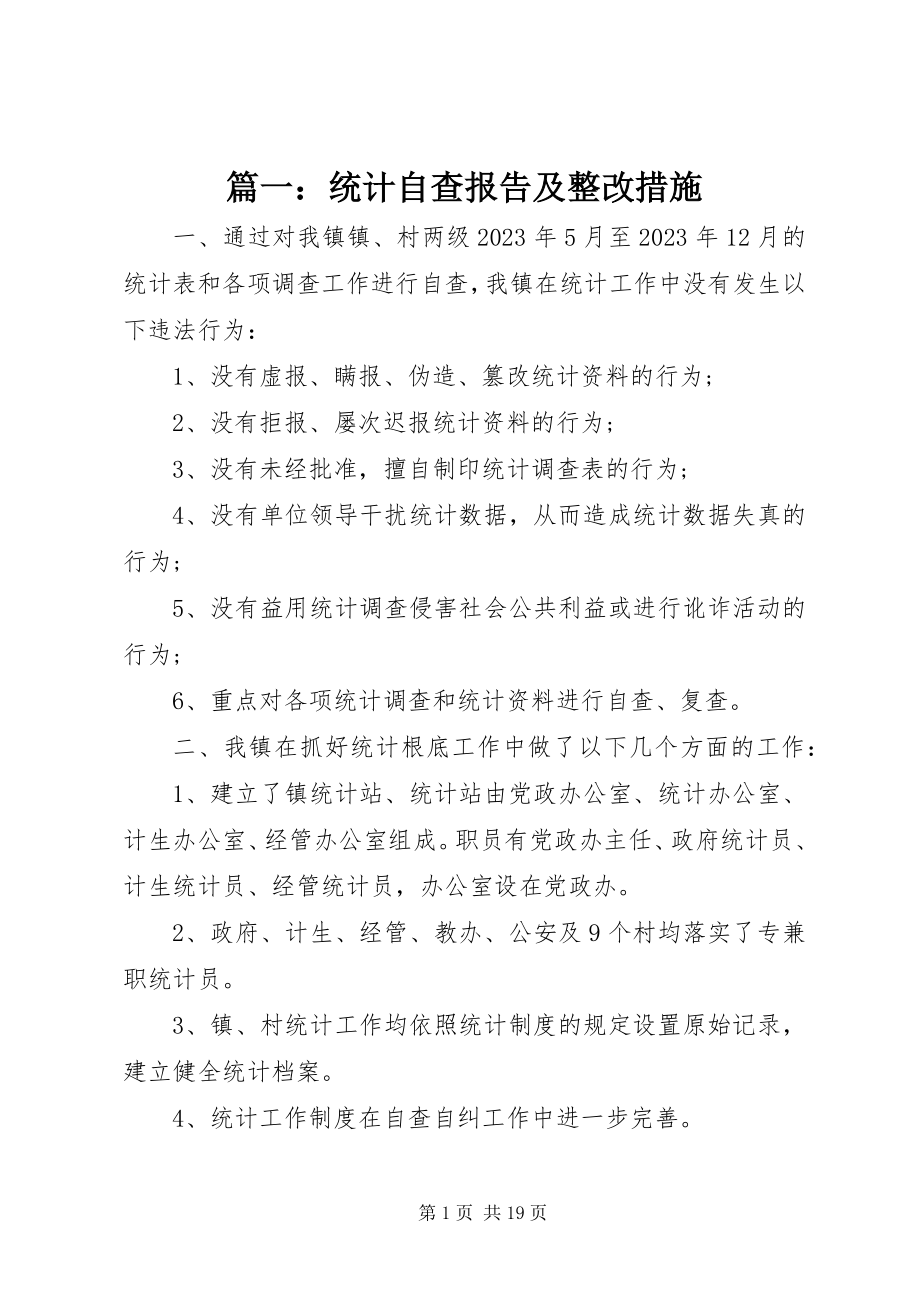 2023年统计自查报告及整改措施.docx_第1页