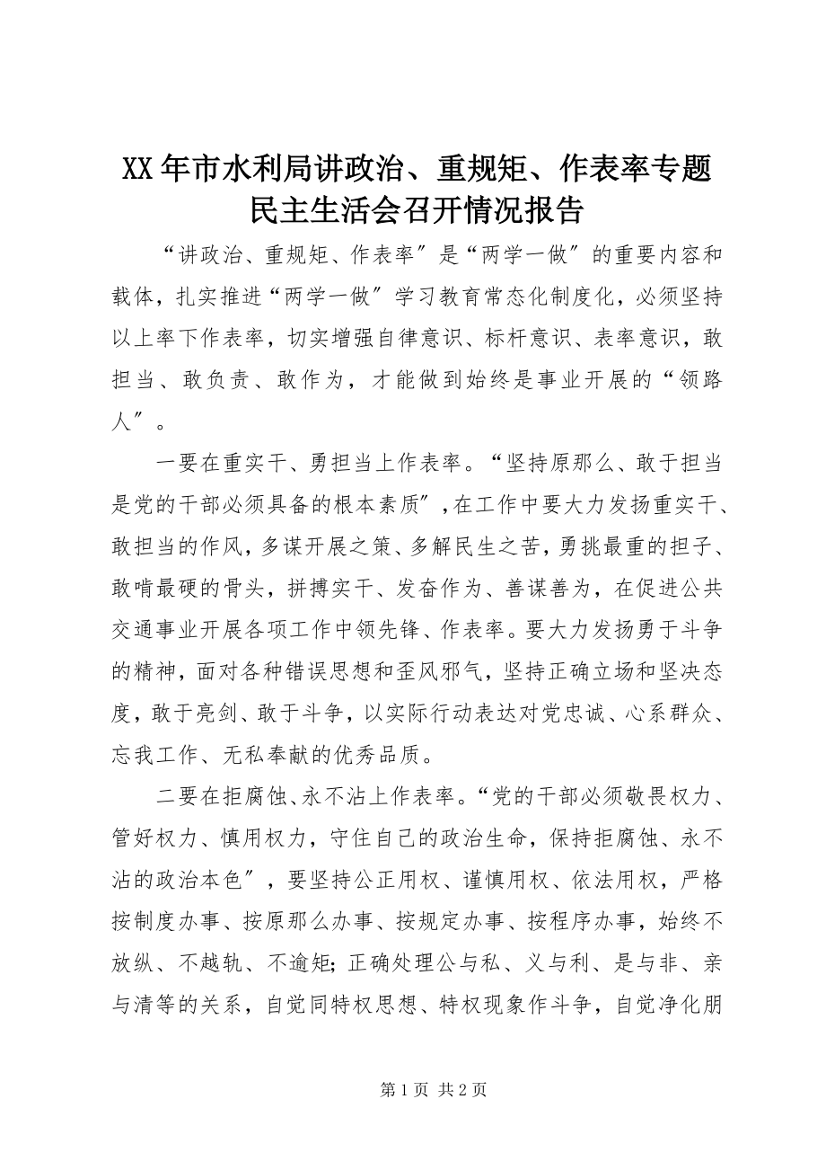 2023年市水利局讲政治重规矩作表率专题民主生活会召开情况报告.docx_第1页