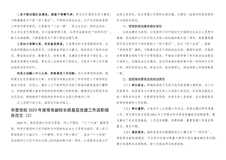 2023年度抓基层党建工作述职报告2篇书记党建述职.docx_第3页